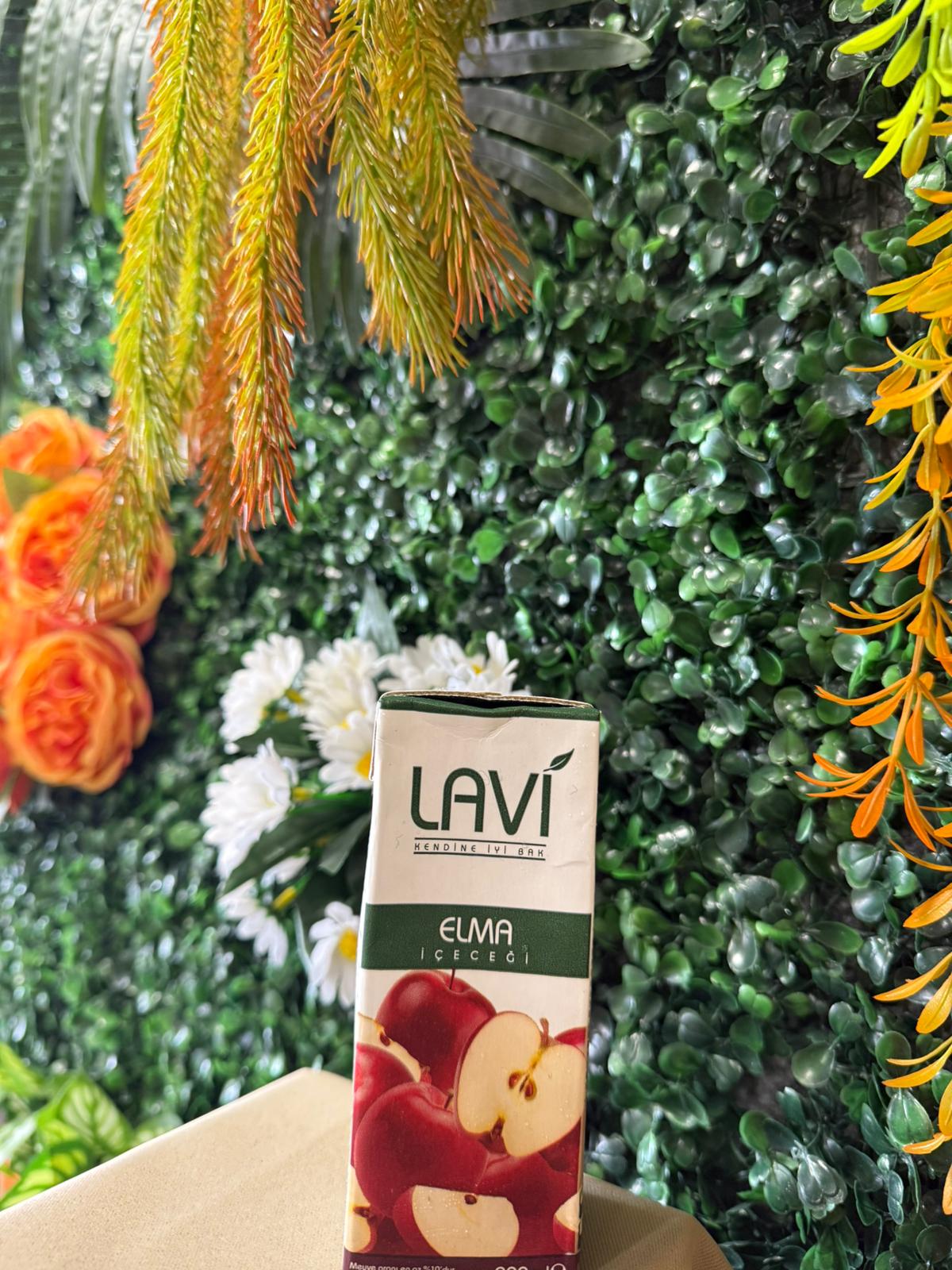 Lavi Elma 200ML
